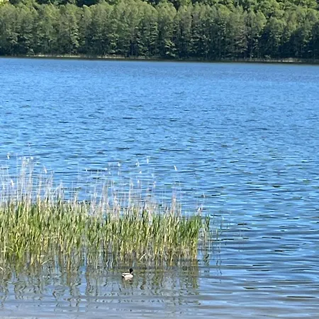 Dom Przy Lesie Na Warmii *