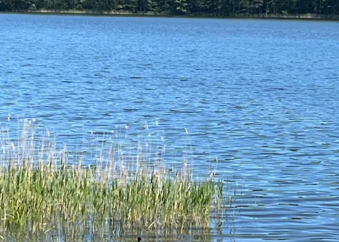 Dom Przy Lesie Na Warmii *